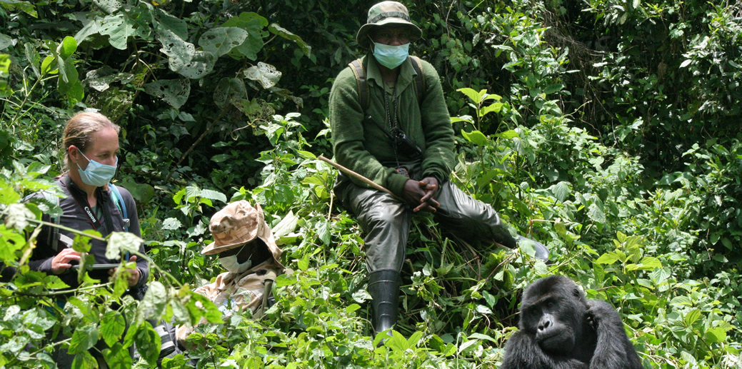 Gorilla Trekking Experience with Asthma