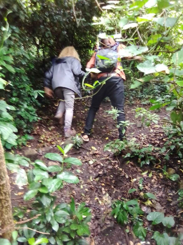 Hiking Trails and Facts about Nyungwe National Park