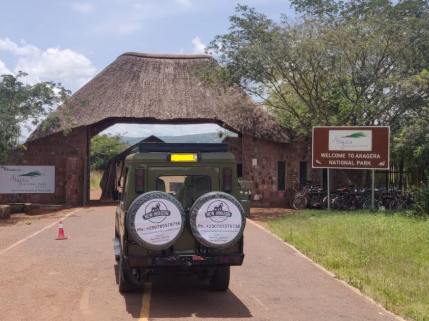 Classic Wildlife Safari in Akagera National Park