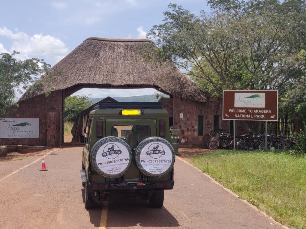Classic Wildlife Safari in Akagera National Park