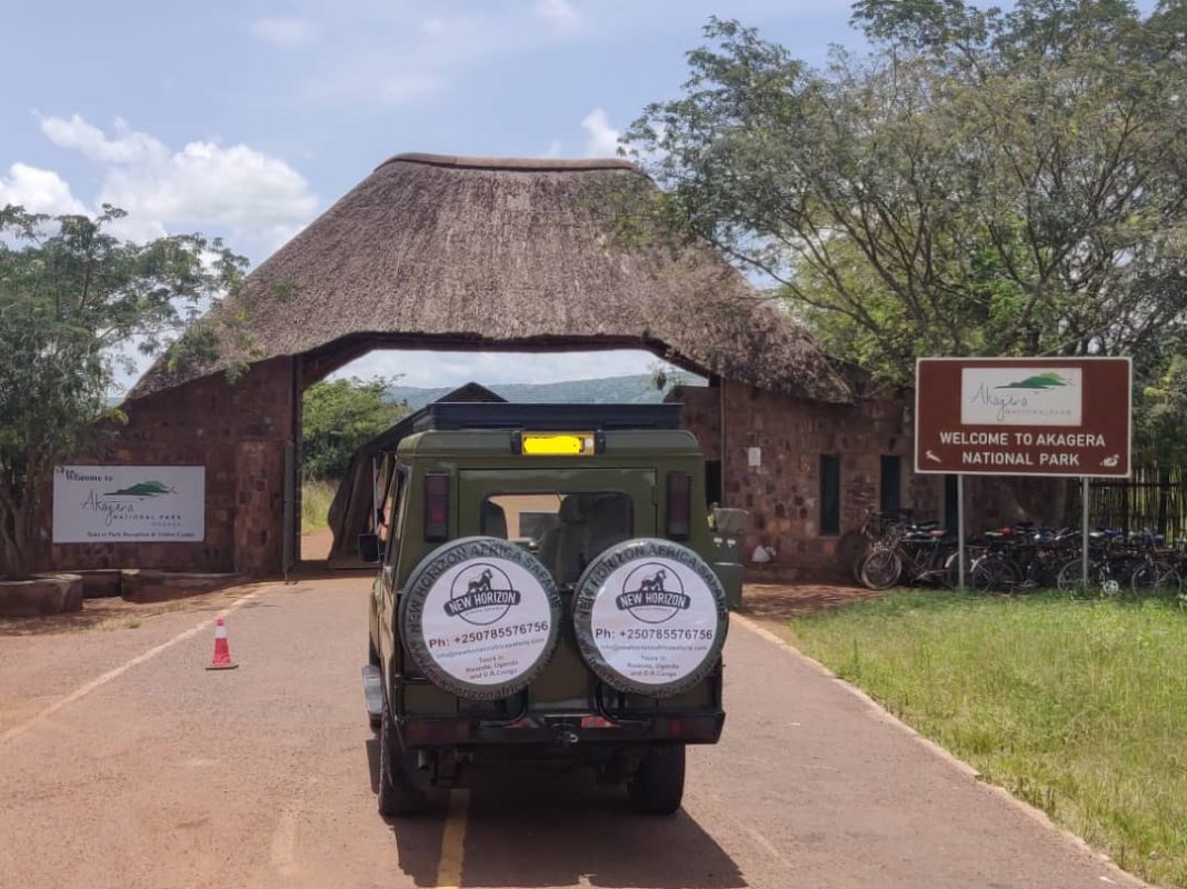 Transfer to Akagera National Park