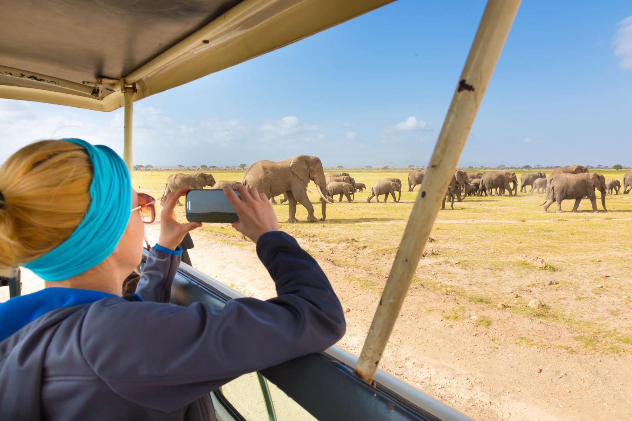 south african park