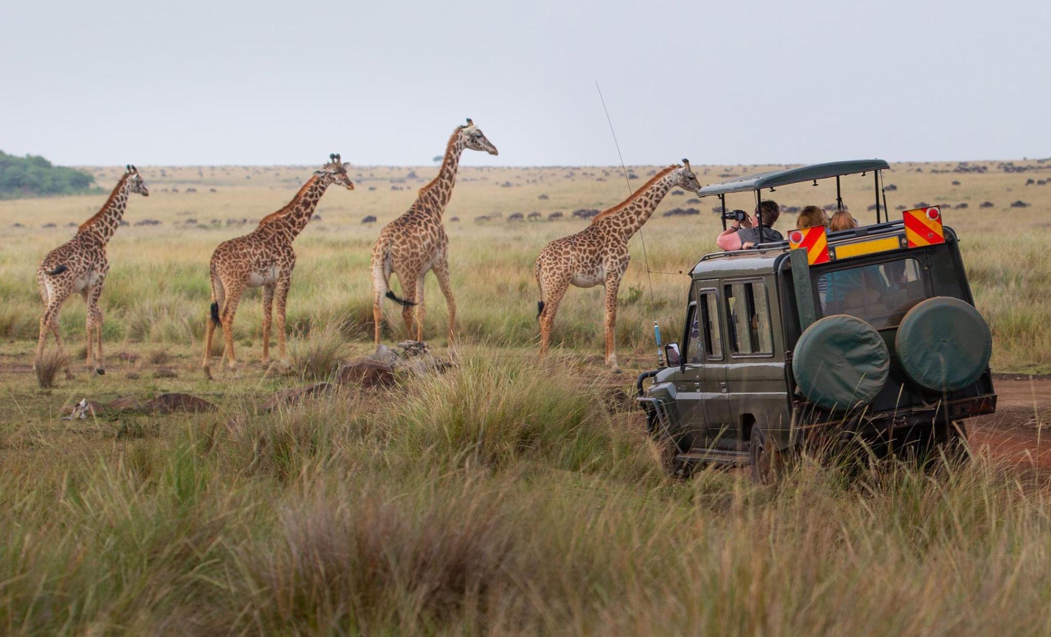 blog about south african parks
