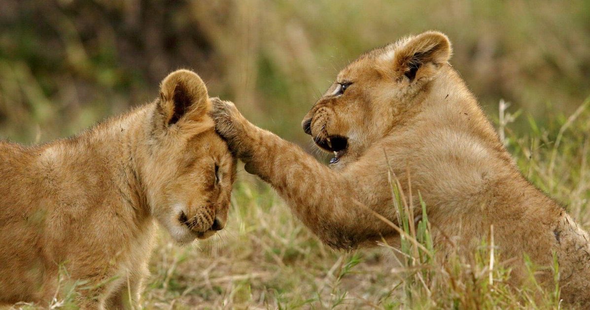 Serengeti National Park