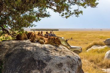 Serengeti National Park (North Lobo)