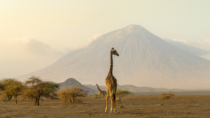 Full Day at Ngorongoro Crater