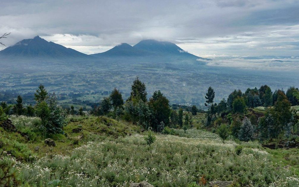 Musanze