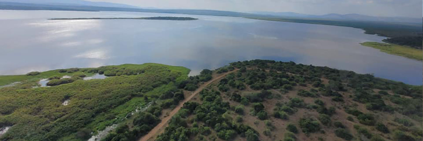 7 Days Fly-in Rwanda Gorilla Safari And Wildlife Tours