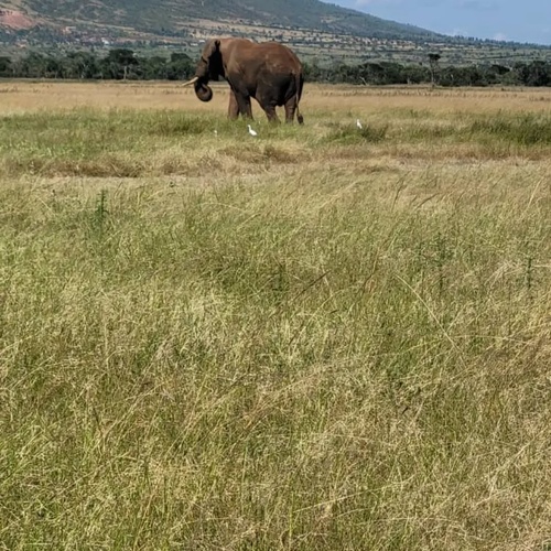 Akagera National Park
