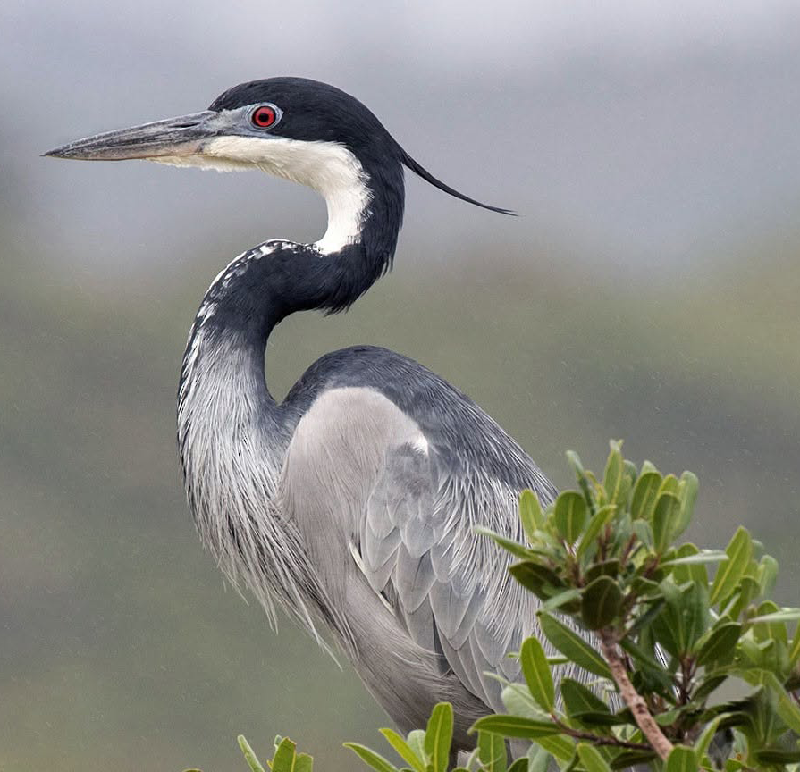 Tarangire National Park