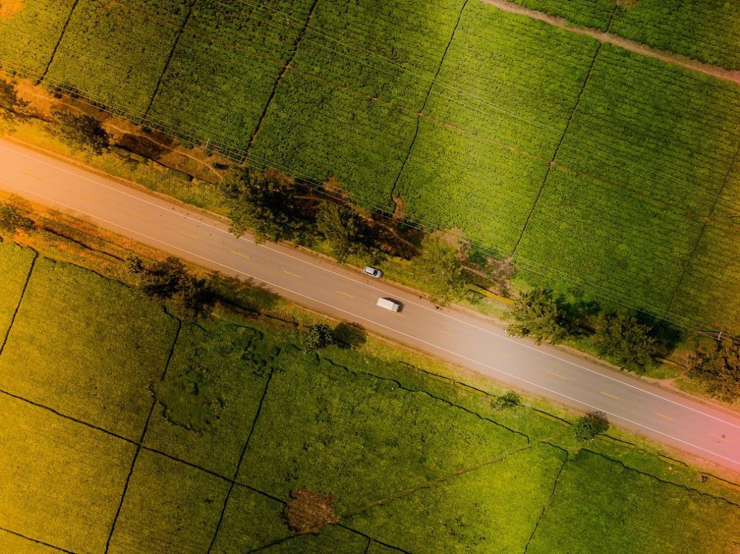 1 Day Coffee Tour Experience