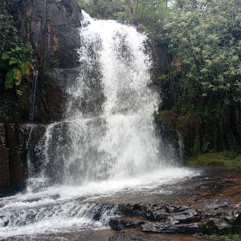 Transfer to Burundi –Wildlife Experience