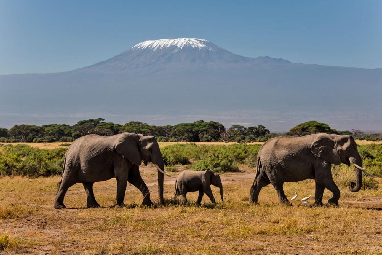 Kenya