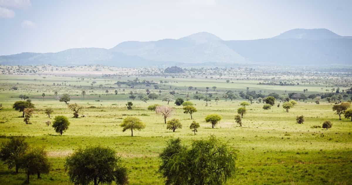 Kidepo Valley National Park
