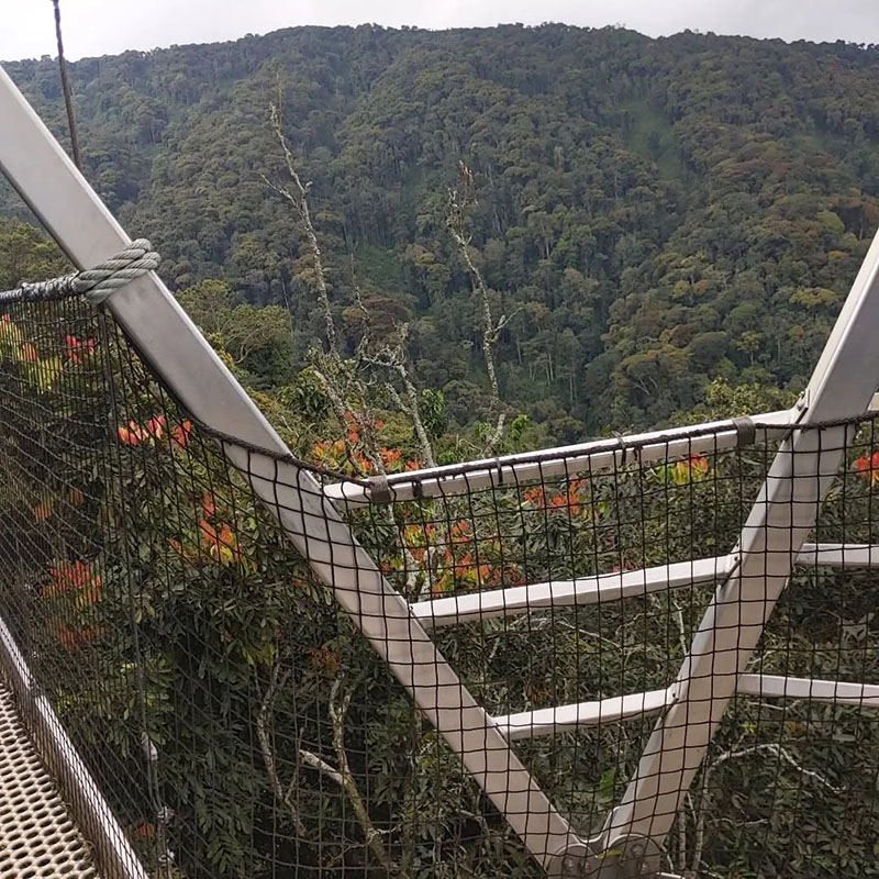 Nyungwe National Park