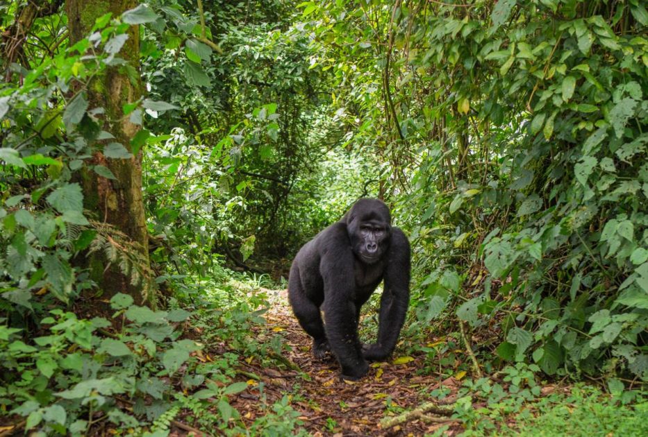 Rwanda