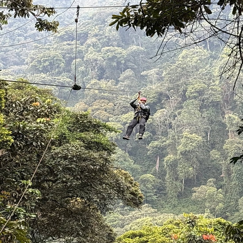 Transfer To Nyungwe National Park