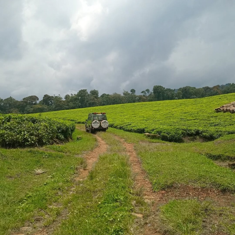 Lake Kivu and Coffee factory Experience