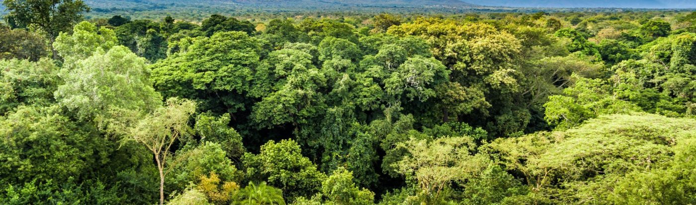Semliki National Park