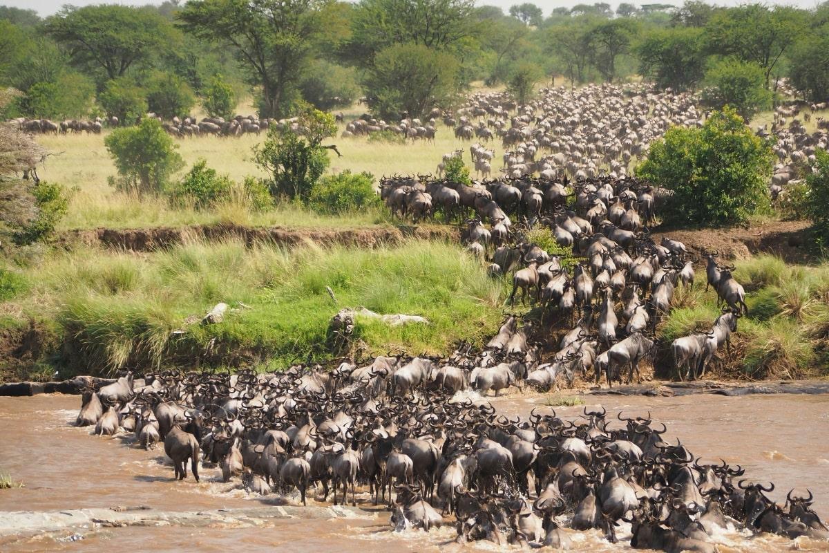 Tanzania