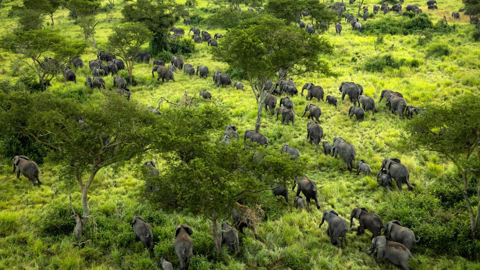 Virunga National Park