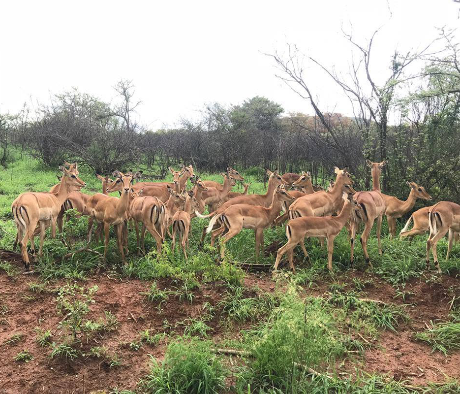 Tarangire National Park
