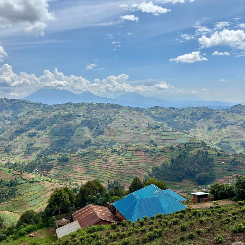 Kibale National Park.