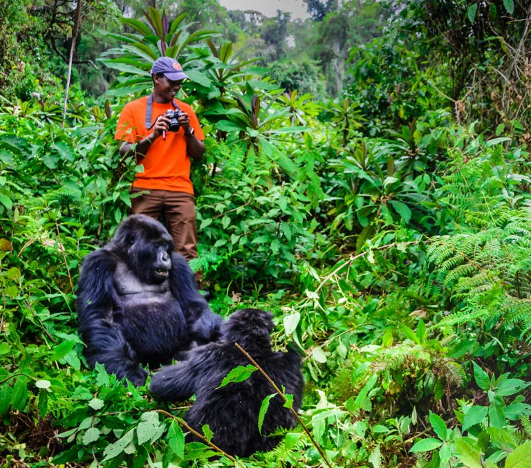 9 Days Rwanda – Uganda Gorilla Trekking safari