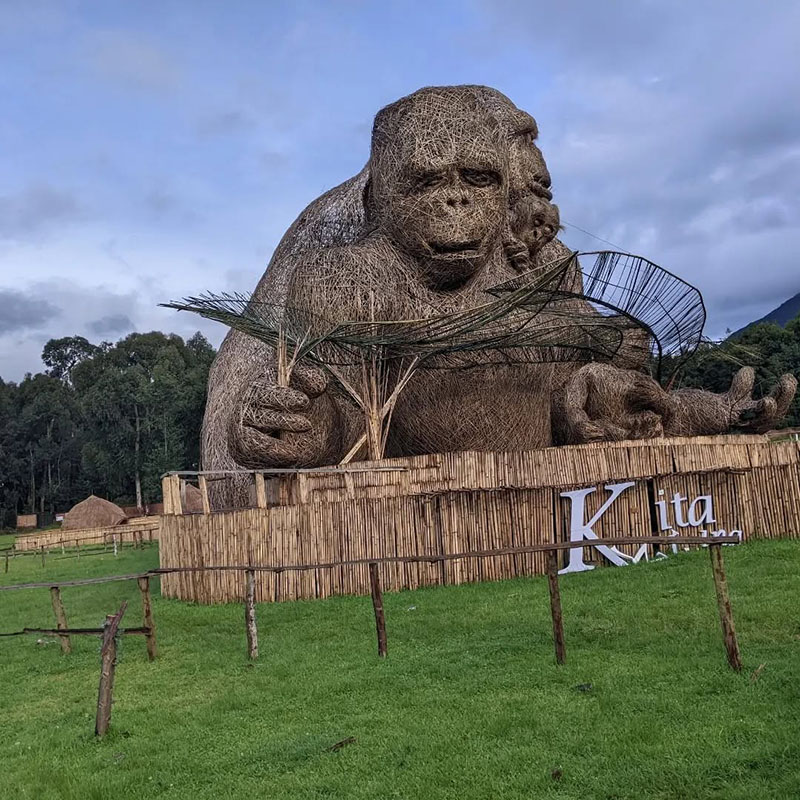 Gorilla Trek and transfer to Musanze