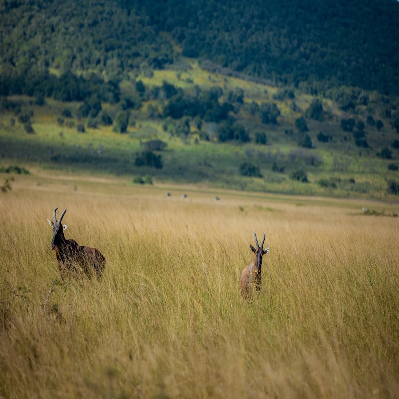 Serengeti National Park