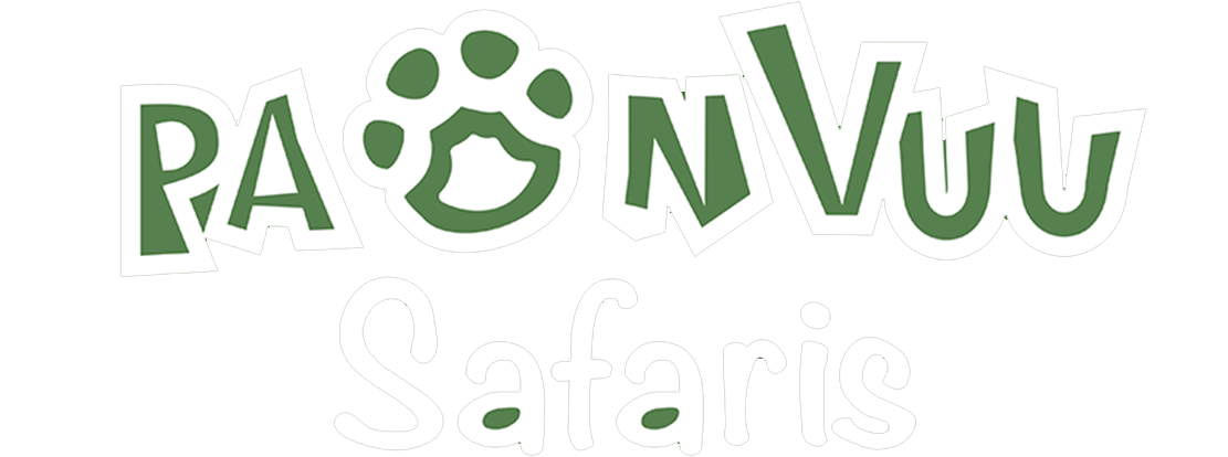 Paanvuu Safaris