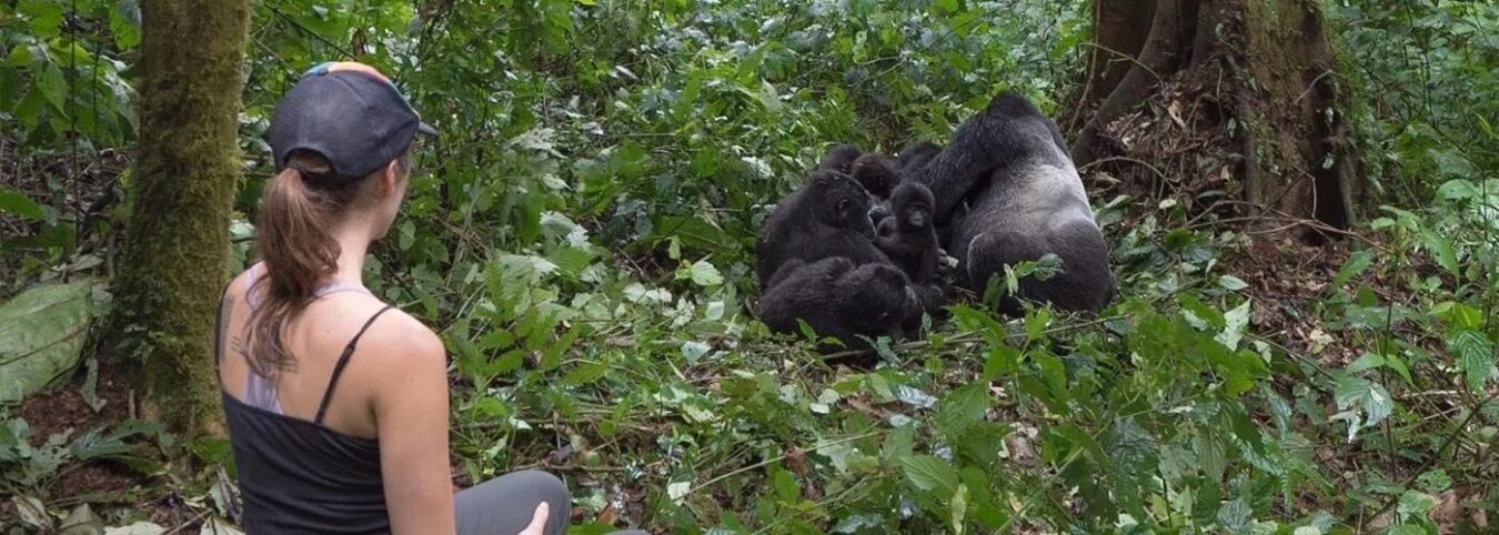 Unforgettable Gorilla Encounter: A 3-Days Expedition in Rwanda