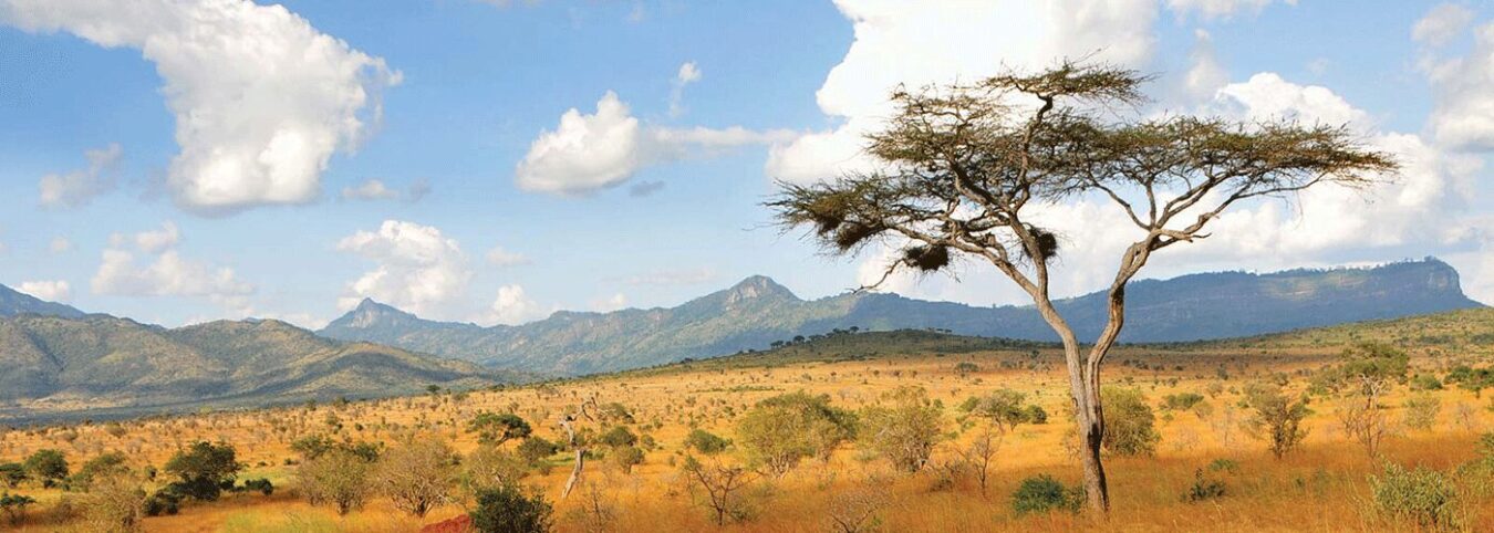 14-Day East African Odyssey: Gorillas, Safaris & Breathtaking Views