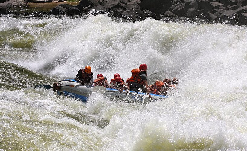 The Best Time for Gorilla Trekking and Rafting in Uganda