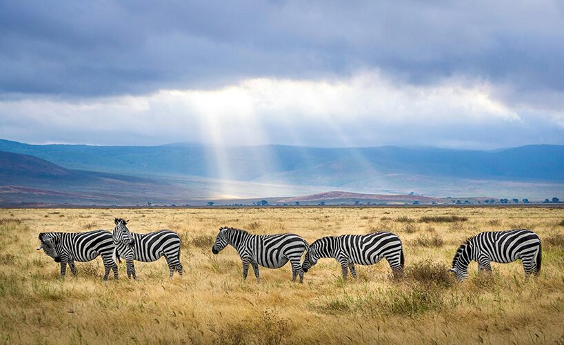 Adventure Tourism in East Africa: Thrilling Experiences You Can’t Miss
