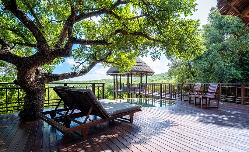 The Ultimate Escape: Luxury Safaris and Wellness Retreats in East Africa