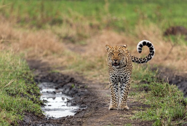 What Are East Africa’s Hidden Gems to Explore in 2026?