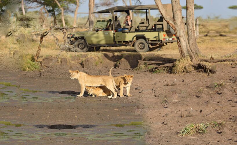 Is East Africa Safe for Tourists? Debunking Myths with Facts