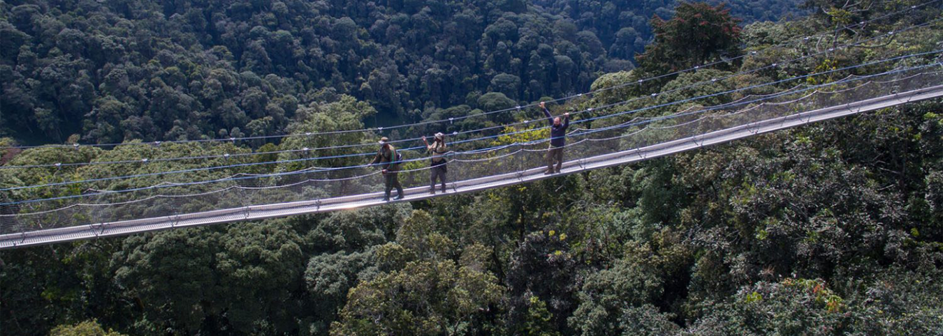 Is Rwanda Worth Visiting? 7 Reasons to Visit Rwanda Today